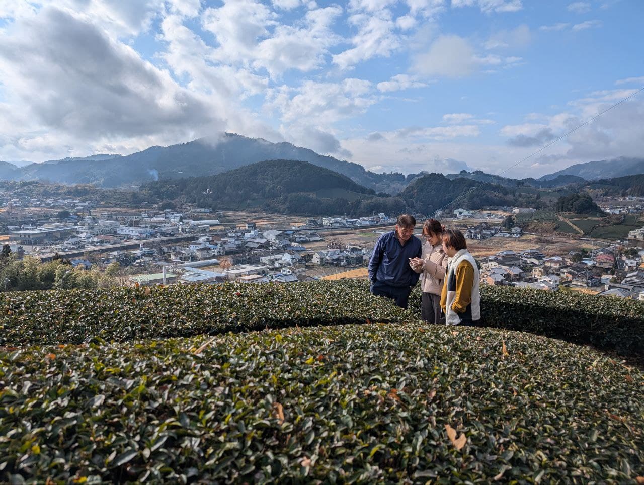 Contact Tea the Gathering