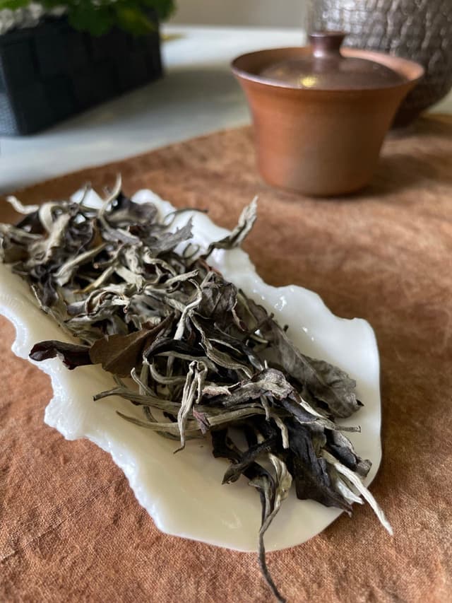 Vietnamese wild-grown white tea